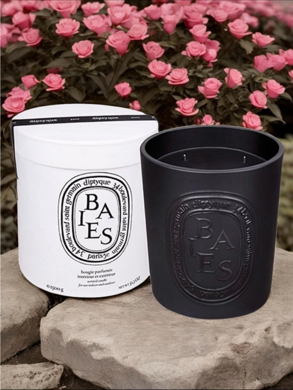 🆕💞DIPTYQUE BAIES (BERRIES) 5-Wick Scented Candle, Reusable Vessel, 1.5kg, 120hrs
